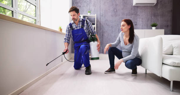 Professional Pest control in Tigard, OR